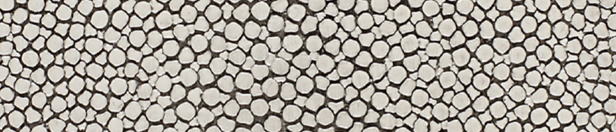 Silverlake Shagreen
